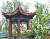 临沂开云(中国)